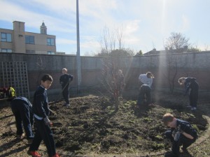 School Garden 033